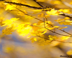 1b676e1b2188ad7d8b3c1da199cs44444422222222222222